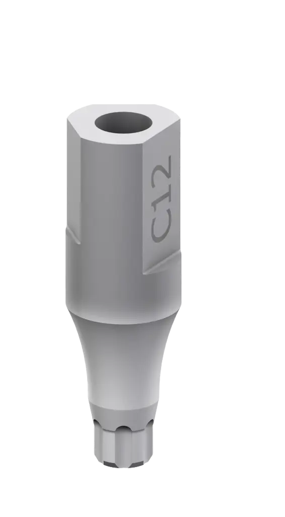 SKY Scan Abutment 11