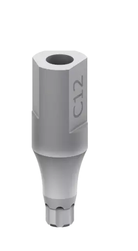 SKY Scan Abutment 11